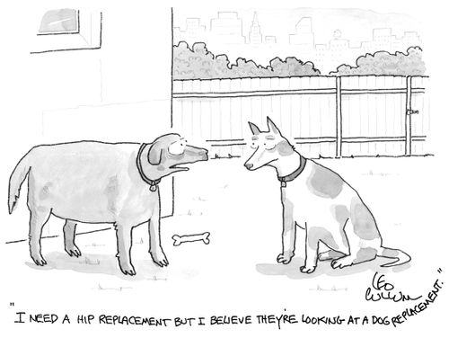 "I need a hip replacement but I believe they're looking at a dog replacement."