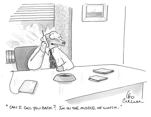 "Can I call you back? I'm in the middle of lunch."