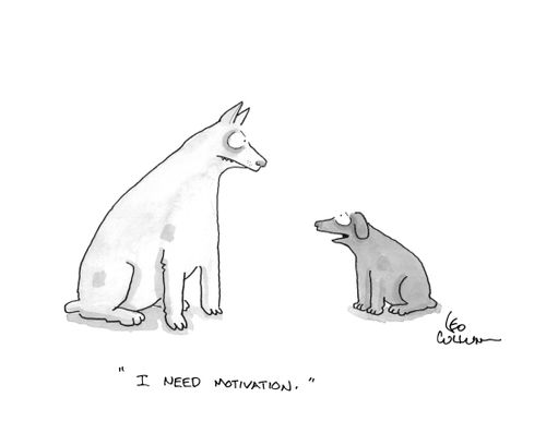 "I need motivation."