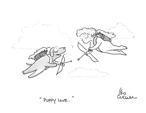 "Puppy love." 