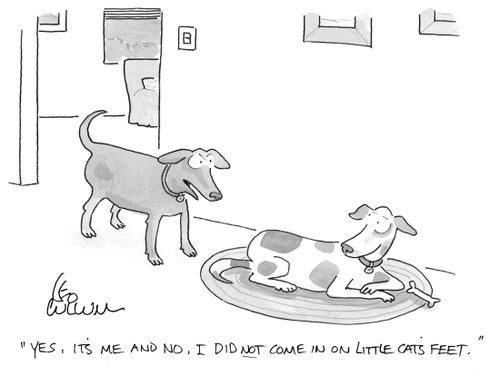 "Yes, It's me and no, I did not come in on little cat's feet."