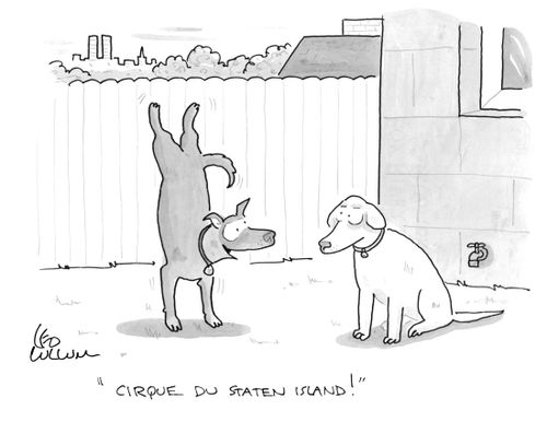 "Cirque du staten Island!"
