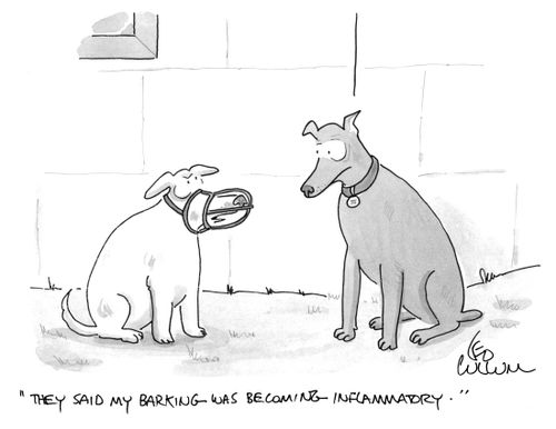 "They said my barking was becoming inflammatory."