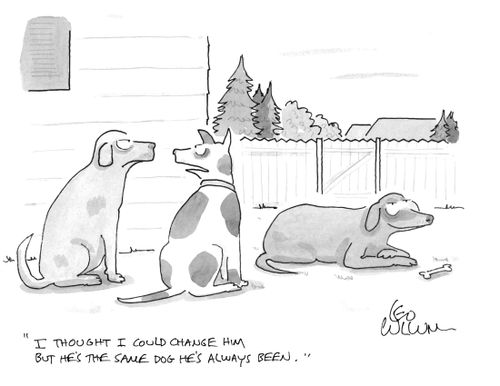"I thought I could change him but he's the same dog he's always been."