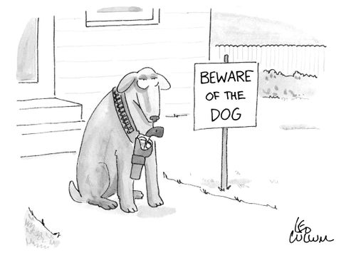 (Beware of the dog)