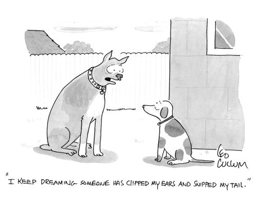 "I keep dreaming someone has cllpped my ears and snipped my tail."