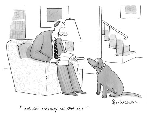 "We got custody of the Cat."