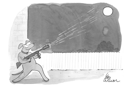 Shooting at the Moon