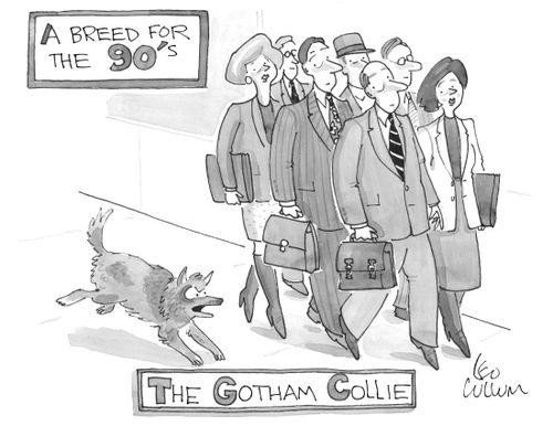 A breed for the 90's: The Gotham Collie