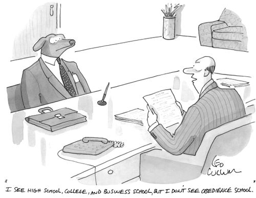 "I see high school, college, and business school, but I don't see obedience school."