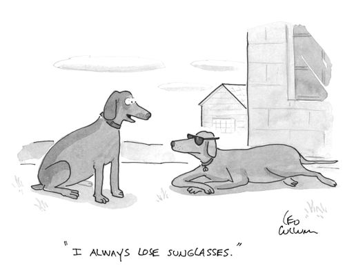 "I always lose sunglasses."