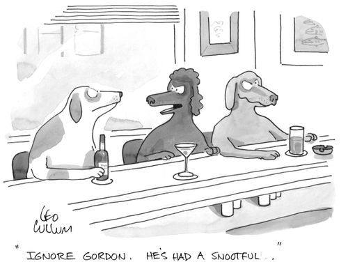 "Ignore gordon. He's had a snootfull."