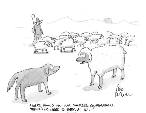 "We're giving you our complete cooperation. There's no need to bark at us!"