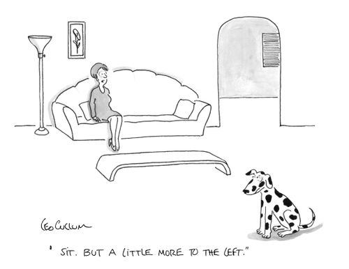 "Sit. But a little more to the left."