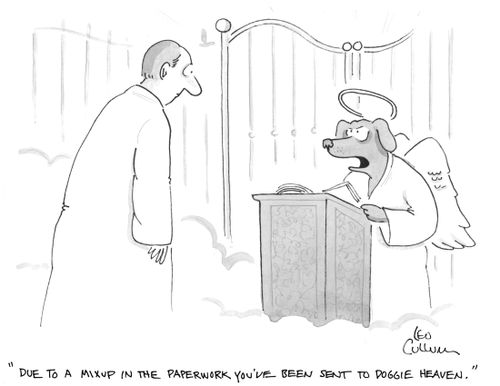 "Due to a mixup in the paperwork you've been sent to doggie heaven."
