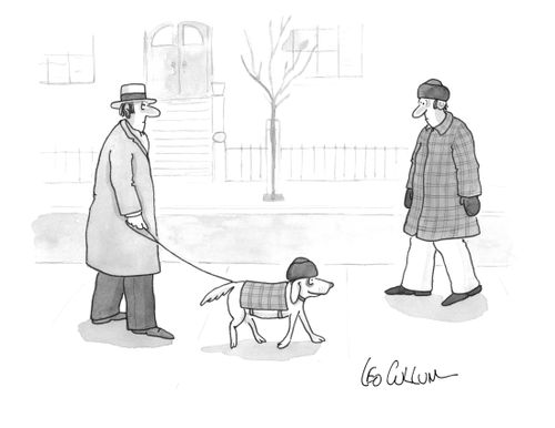 Winter Dog