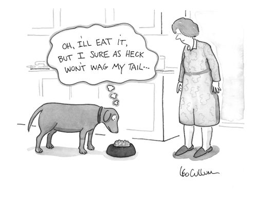 "Oh, I'll eat it, but I sure as heck won't wag my tail..."