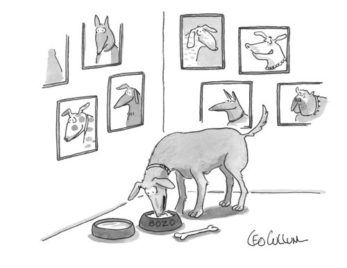 Wall of Dogs
