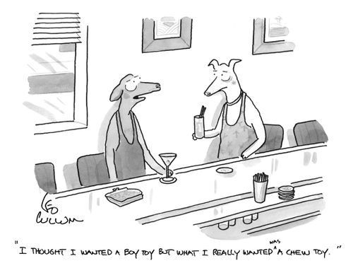"I thought I wanted a boy toy but what I really wanted was a chew toy."