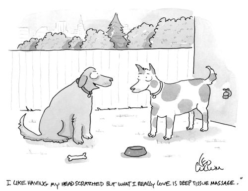 "I like having my head scratched but what I really love is deep tissue massage."