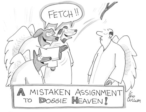 "Fetch !!"