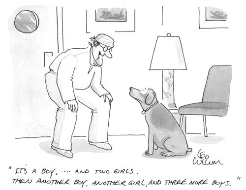"It's a boy, ... and two girls, then another boy, another girl, and there more boys."