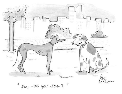 "So, … Do you jog?"