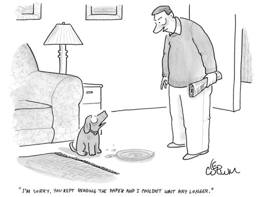 "I'm sorry, you kept reading the paper and I couldn't wait any longer."