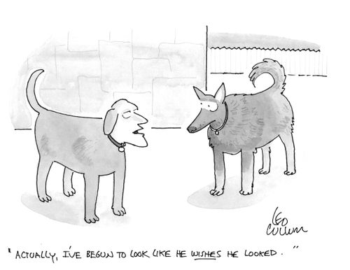"Actually, I've begun to look like he wishes he looked."