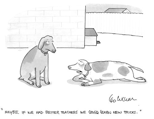 "Maybe if we had better teachers we could learn new tricks."
