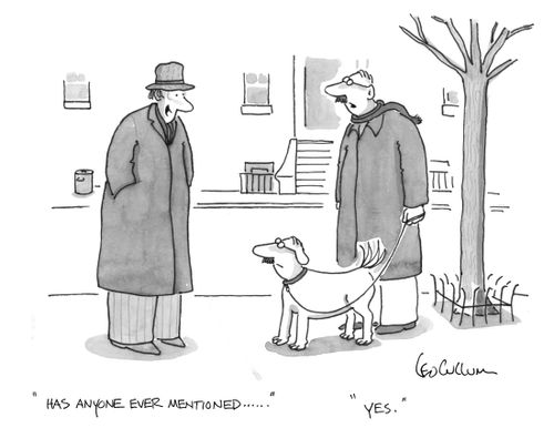 "Has anyone ever mentioned……" "Yes."