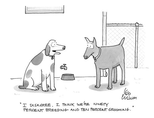 "I disagree. I think we're ninety percent breeding and ten percent grooming."