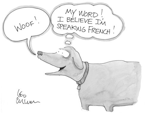 (Woof!) (My word! I believe I'm speaking french!)