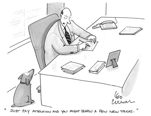 "Just pay attention and you might learn a few new tricks."