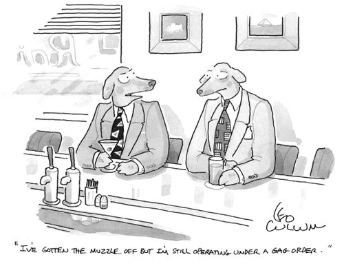 "I've gotten the muzzle off but I'm still operating under a gag order."