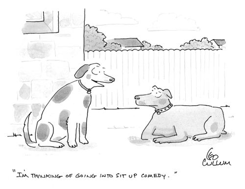 "I'm thinking of going into sit up comedy."