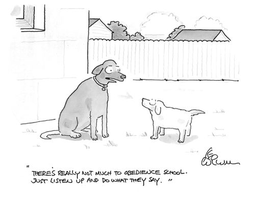 "There's really not much to obedience school. Just listen up and do what they say."