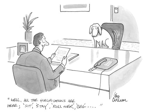 "Well, all the qualifications are here; 'sit', 'stay', 'roll over', 'beg'…."