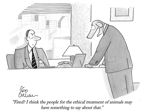 "Fired? I think the people for the ethical treatment of animals may have something to say about that."