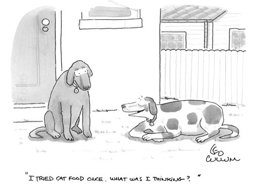 "I tried cat food once. What was I thinking?"