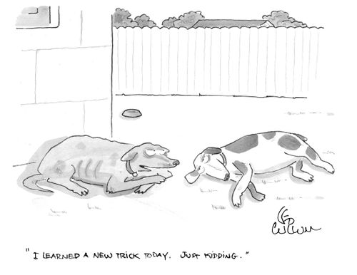 "I learned a new trick today. Just kidding."
