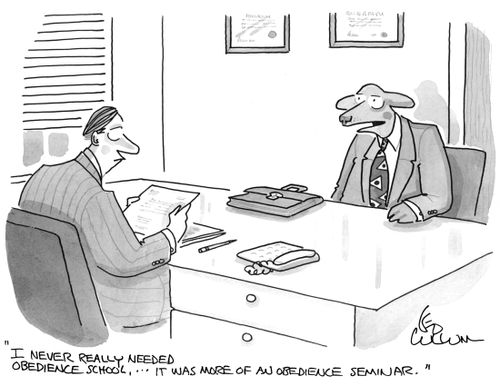 "I never really needed obedience school, … It was more of an obedience seminar."