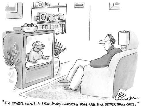 "In other news a new study indicates dogs are still better than cats."
