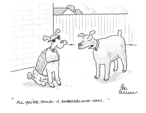 "All you're doing is emboldening cats."