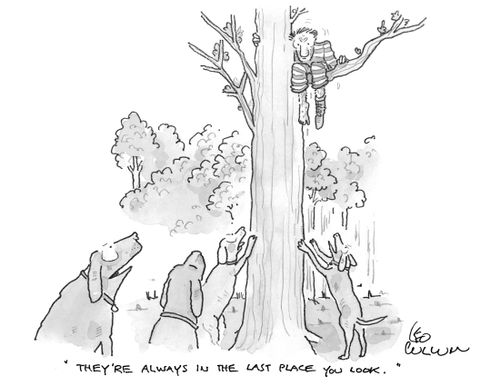 "They're always in the last place you look."