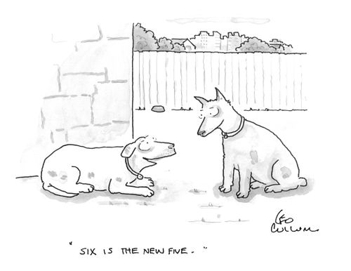 "Six is the new five."