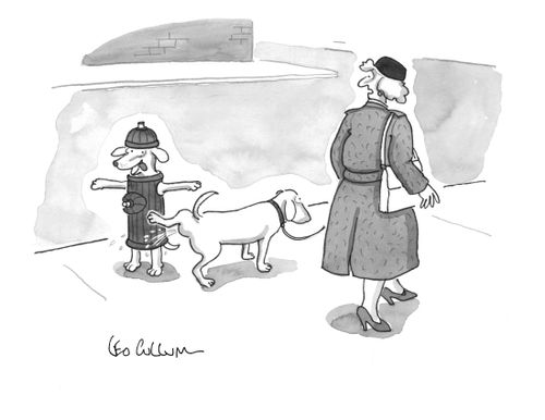 Disguised Dog
