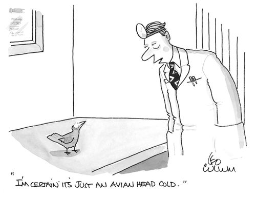 "I'm certain it's just an avian head cold."