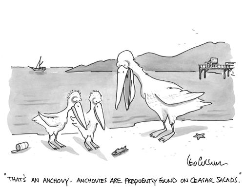 "That's an anchovy. Anchovies are frequently found on ceasar salads."