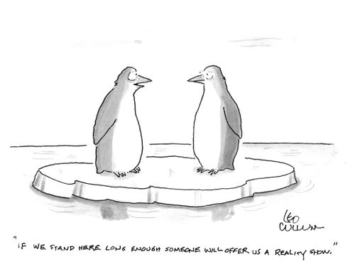 "If we stand here long enough someone will offer us a reality show."